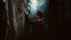 Man touching a tree